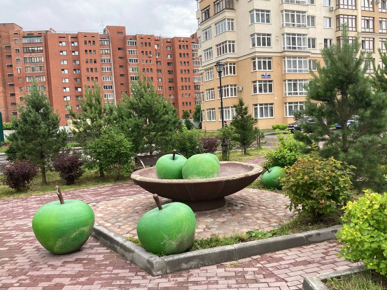 Фото студента КемГИК Асачевой Веры 24 июня 2025 г.